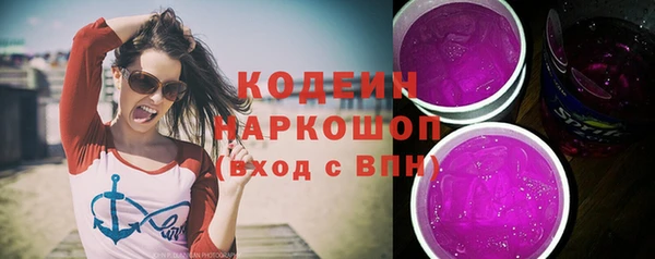 spice Гусев