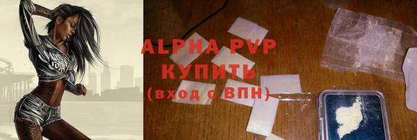 spice Гусев