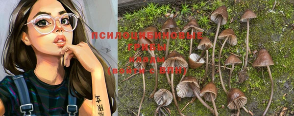 альфа пвп Дмитров