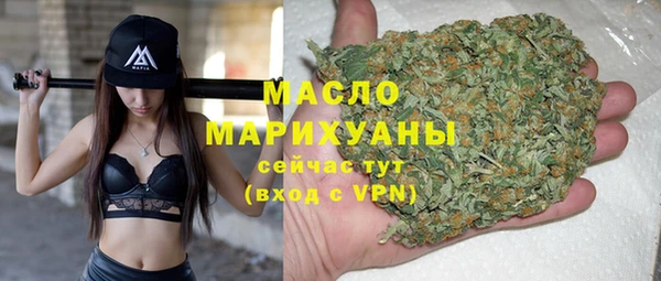 spice Гусев