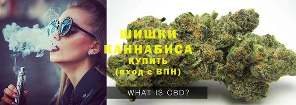 spice Гусев