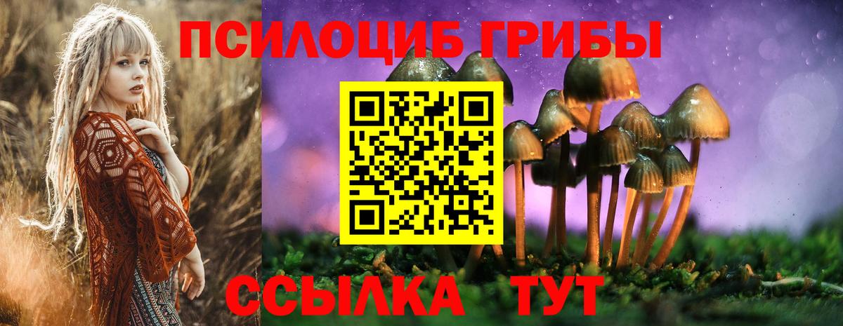 Галлюциногенные грибы мухоморы Ефремов