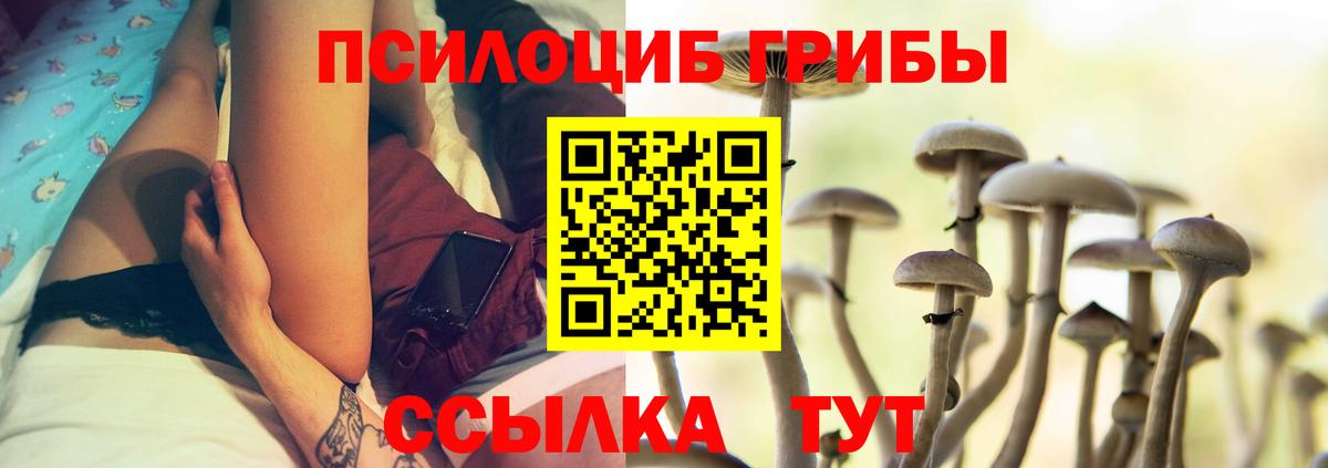 Ефремов  Псилоцибиновые грибы MAGIC MUSHROOMS  Вход с VPN 